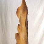 P1010100